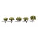 Woodland Scenics Early Light Trees 40mm Tall Woodland Scenics Early Light Trees 40mm Tall