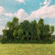 Hedgerow or Copse 55mm Tall Hedgerow or Copse 55mm Tall