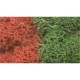 Lichen  Autumn mixed small pack