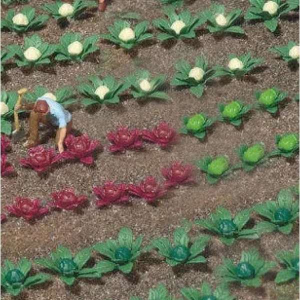 Model Vegetable Plants