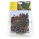 Undergrowth Small Trees Autumn Mixed