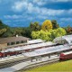 Platforms and Canopy Z Gauge Platforms and Canopy Z Gauge