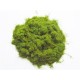 Static Grass Spring Mix 2mm Static Grass Spring Mix 2mm