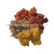 Lump Foliage Autumn Red Lump Foliage Autumn Red