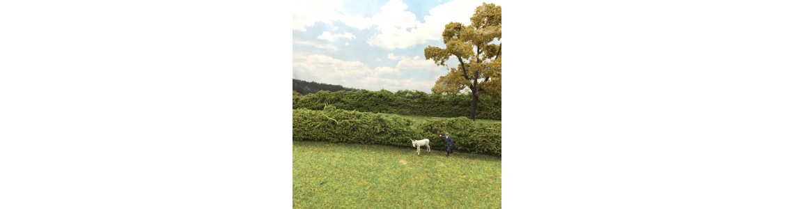 Model Hedgerows Model Hedgerows