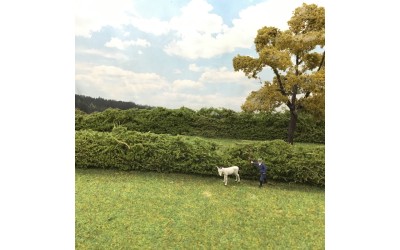 Model Hedgerows