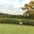 Model Hedgerows