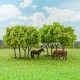Wooded Tree Copse 80mm tall