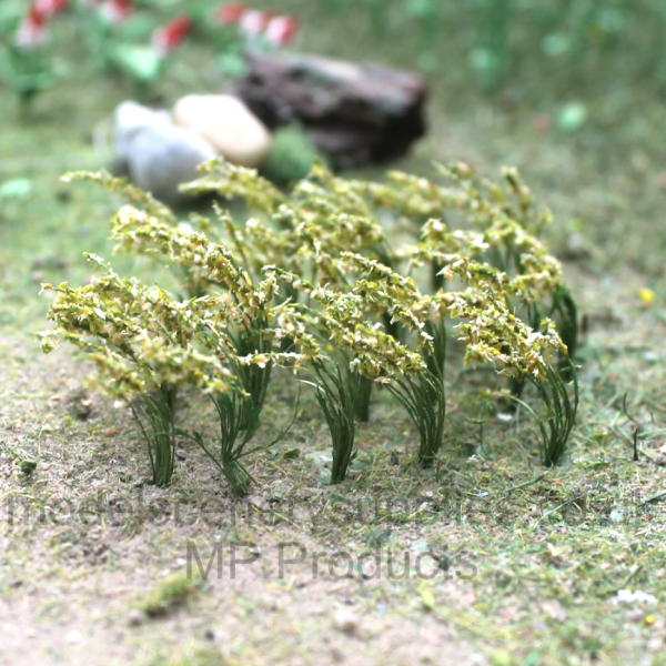 Tall Grass tufts windswept 