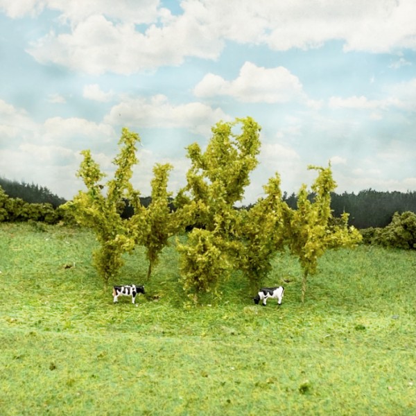 Saplings Small Trees Light Olive
