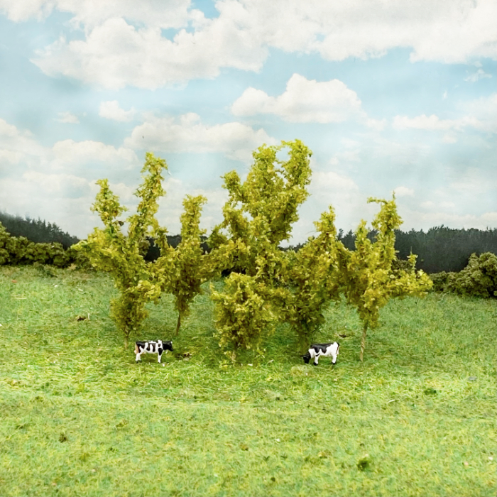 Saplings Small Trees Light Olive