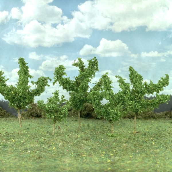 Saplings Medium Green