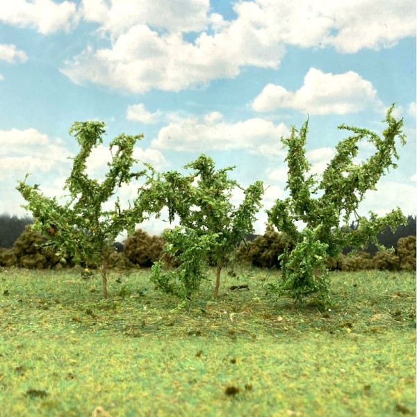 Saplings Medium Green