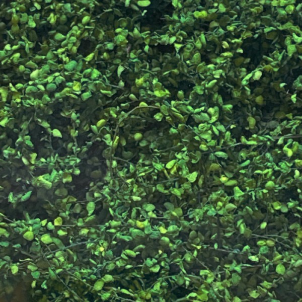 Climbing Vines Dark Green All scales