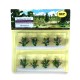 Buddleia Wild SHORT   MP70051W
