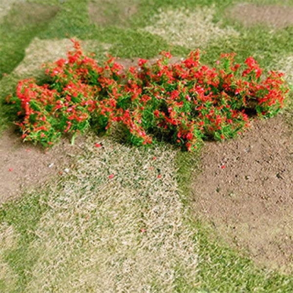 Red Poppies O