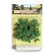 Tall Trees Light Green 9 pack Tall Trees Light Green 9 pack