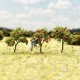 Apple Tree Grove N gauge Apple Tree Grove N gauge