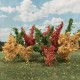 Sapling Trees Autumn Mixed Sapling Trees Autumn Mixed