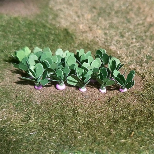Turnips OO 1:76 scale