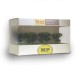 Chestnut Trees 25mm tall MP70322