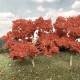 Maple Trees Small 50mm tall Maple Trees Small 50mm tall