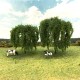 Weeping Willow Trees 90mm Tall
