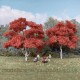 Maple Trees Large 100mm tall Maple Trees Large 100mm tall