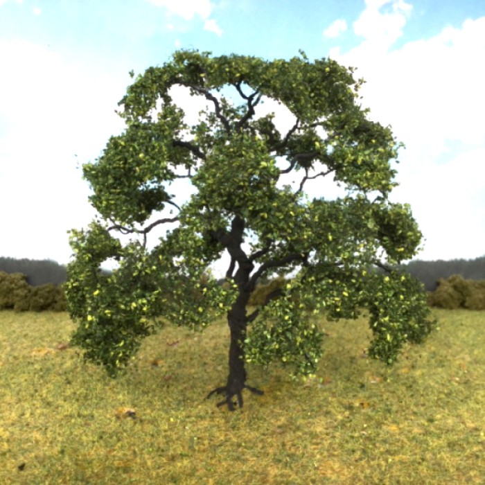 English Oak Large 130mm tall English Oak Large 130mm tall