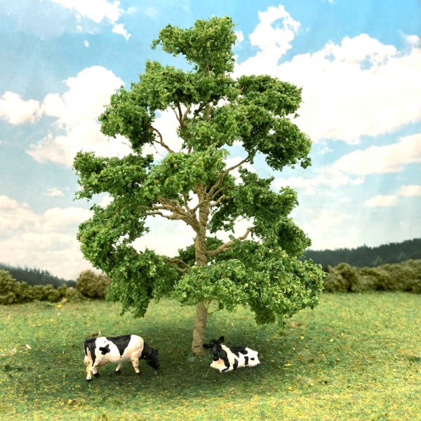 English Elm Tree Summer Green 130mm tall