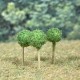 Micro Trees Micro Trees