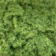Foliage Mat, Coarse Medium Green Foliage Mat, Coarse Medium Green