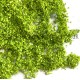 Foliage Mat with Leaves, Spring Light Green Foliage Mat with Leaves, Spring Light Green