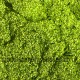 Foliage Mat with Leaves, Spring Light Green Foliage Mat with Leaves, Spring Light Green
