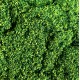 Foliage Mat with Leaves, Medium Green