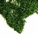 Foliage Mat with Leaves, Dark Green