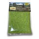 Leaves Light Green Loose Leaf Foliage