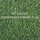 Leaves Dark Green Loose Leaf Foliage Leaves Dark Green Loose Leaf Foliage
