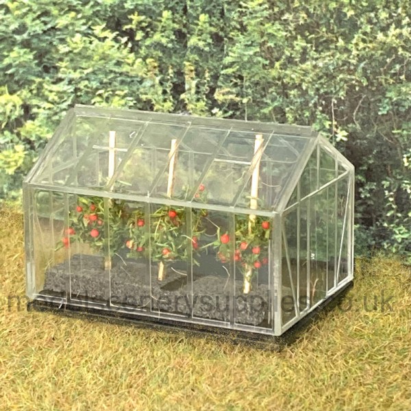 Tomato Plants OO 