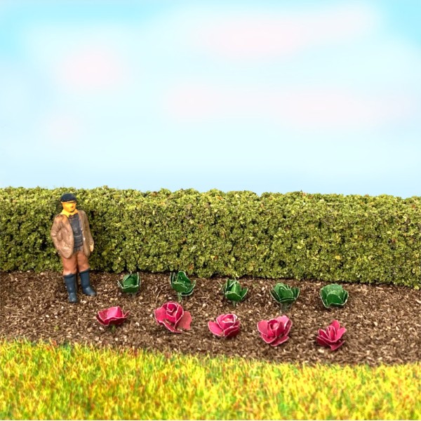 Cabbages and Lettuces OO  