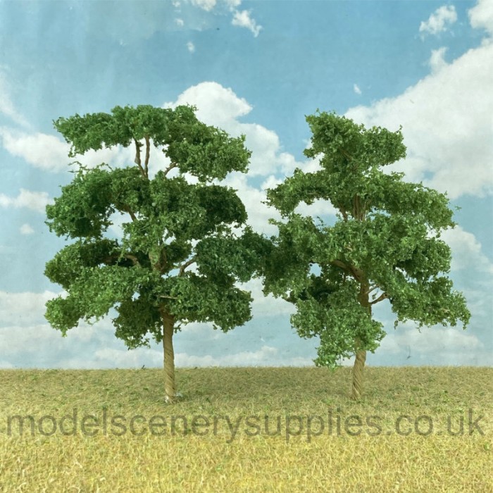 Elm Trees 80 - 95mm Tall Elm Trees 80 - 95mm Tall