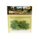Ash Trees 40 to 50mm Tall MP75534 Ash Trees 40 to 50mm Tall MP75534
