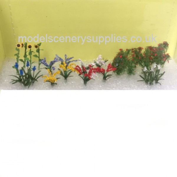 Bedding Plants Flower Garden, Short Pack