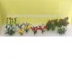 Bedding Plants Flower Garden, Short Pack
