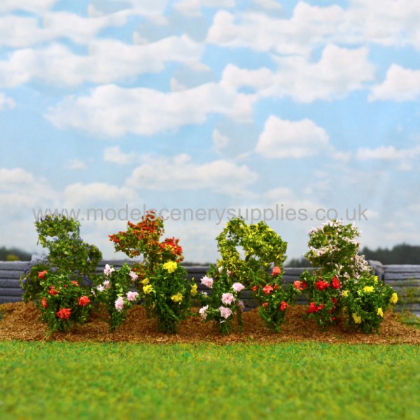 English Roses OO /TT