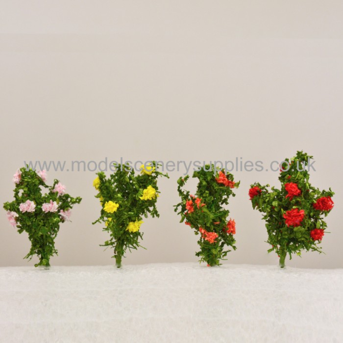 English Roses SMALL English Roses SMALL