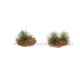 Grass Tufts Dry Grass Noch 06910 Grass Tufts Dry Grass Noch 06910