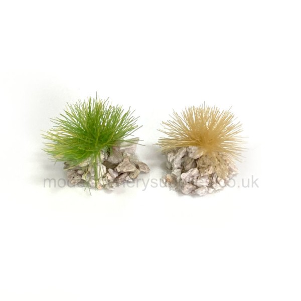 Grass Tufts with Light Stones  Noch 06920