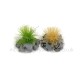 Grass Tufts with Dark Stones  Noch 06921