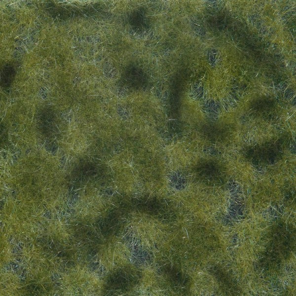 Ground Cover Medium  green Noch 07250